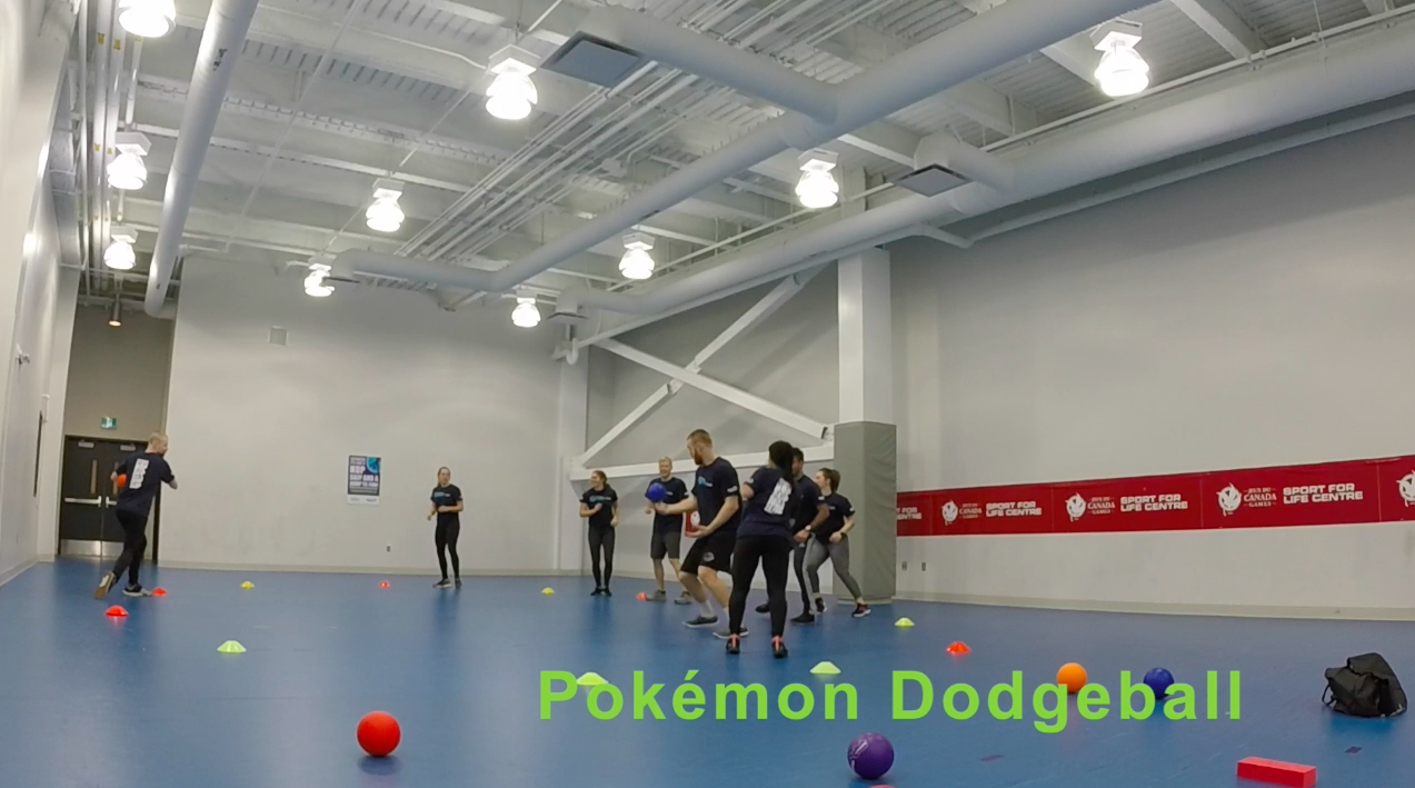 Pokemon Dodgeball