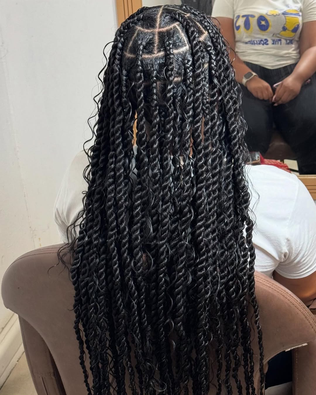 Braids & Twists for Curly Hair