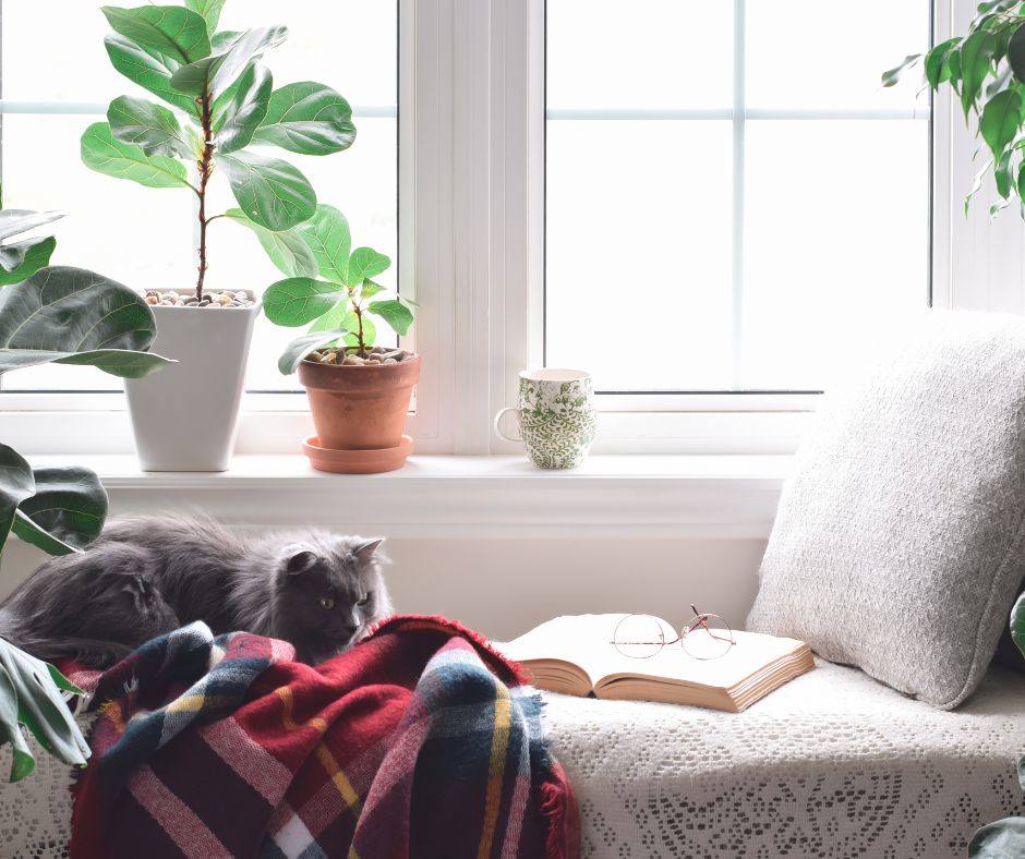 Meditation Nook