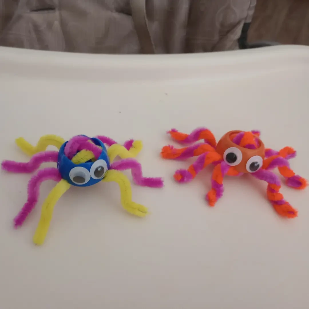 Pipe cleaner spiders