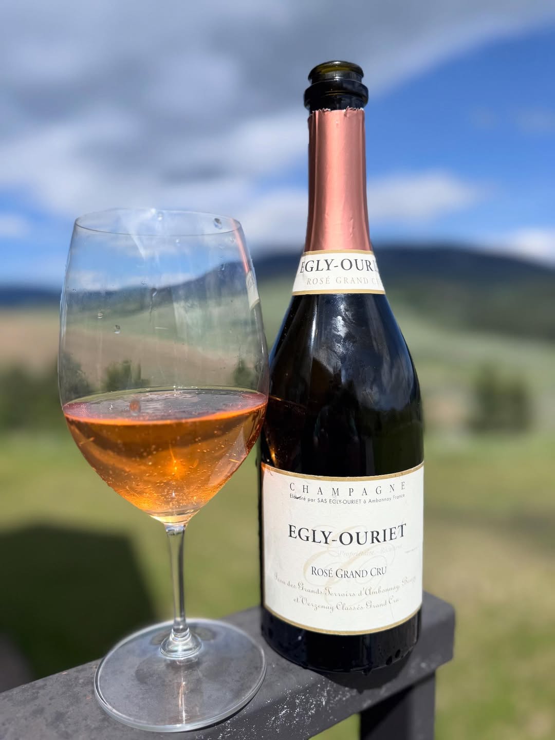 Champagne or Wine Bottles