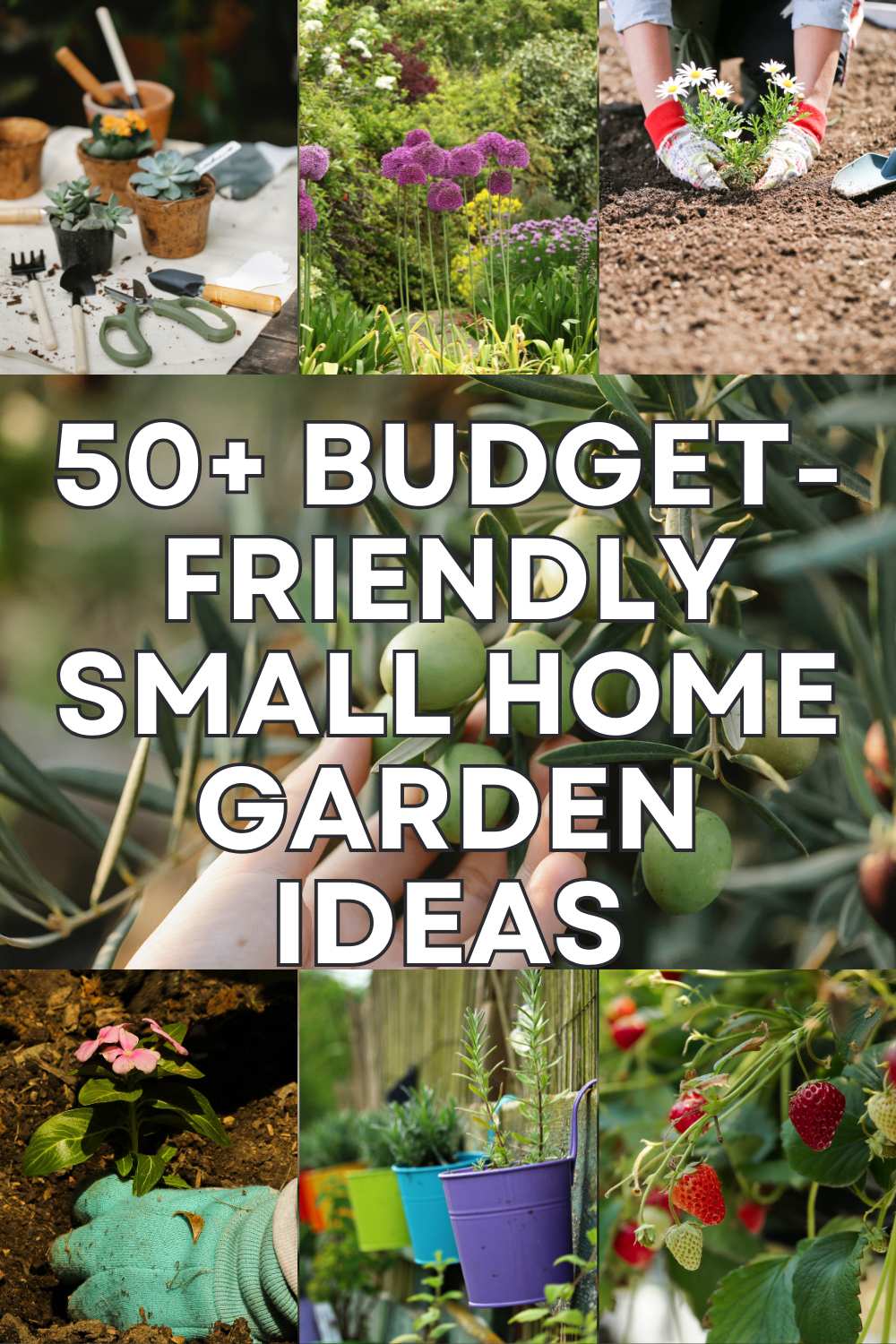  Budget-Friendly Small Home Garden Ideas