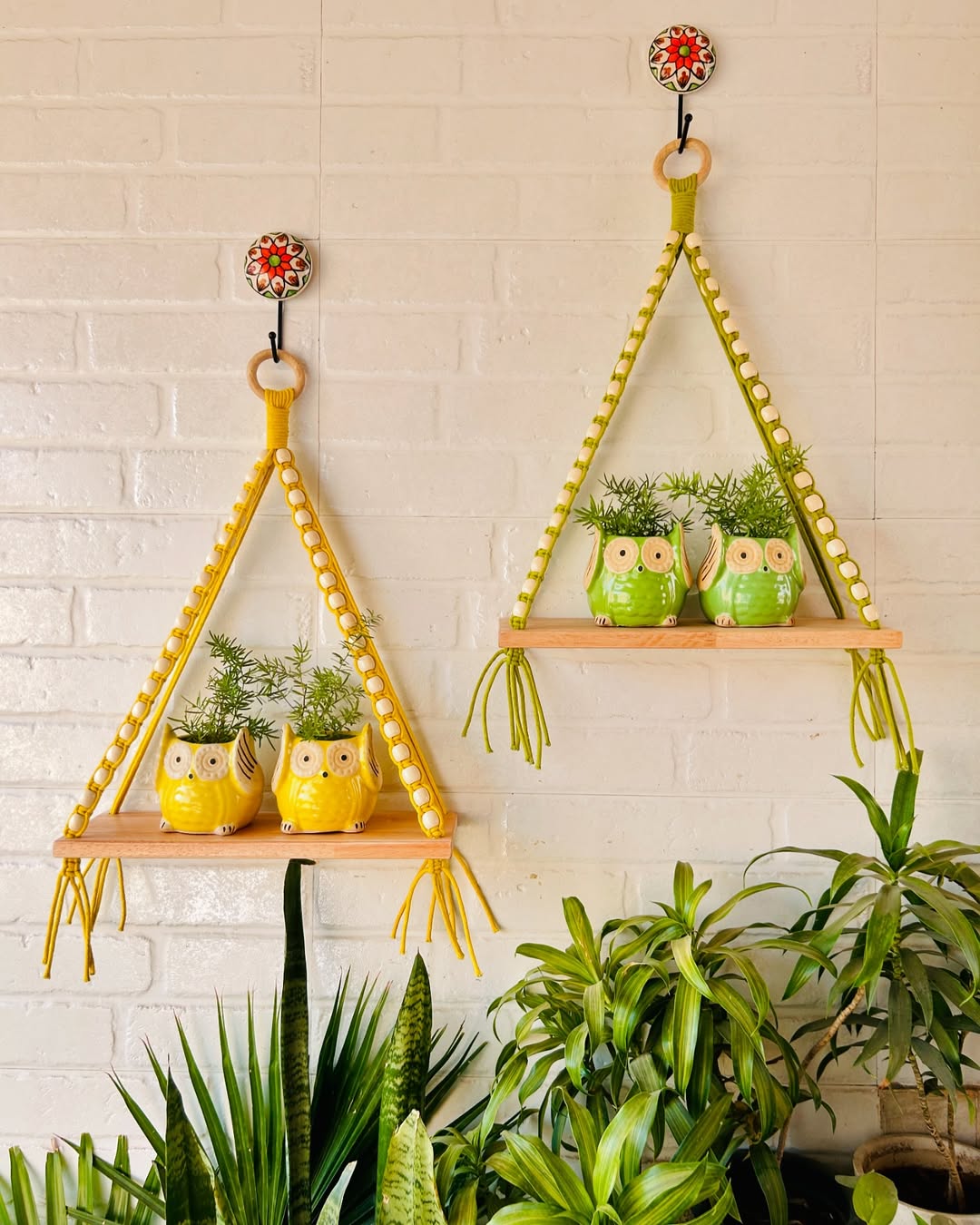 Hanging Macramé Planters 🪴