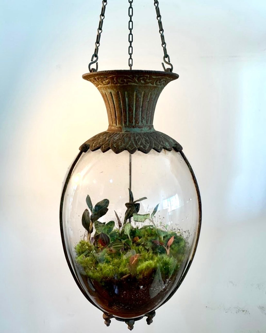 Hanging Glass Terrariums