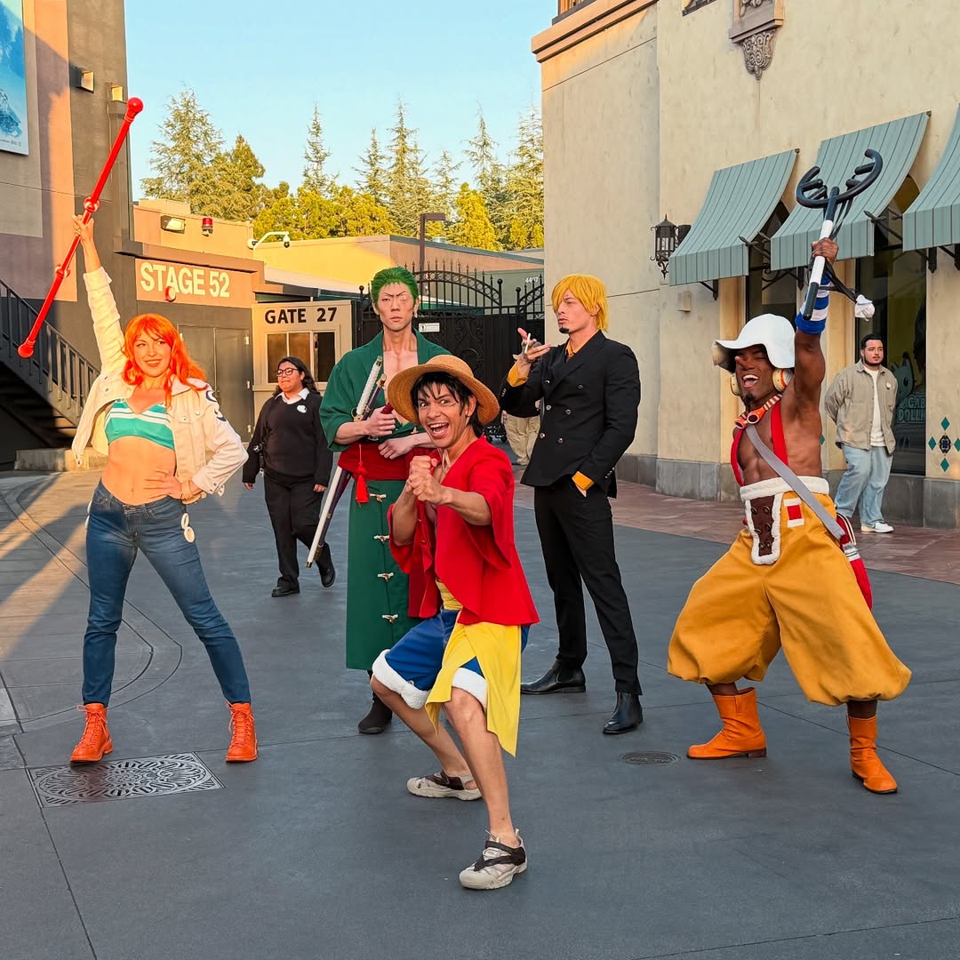 Straw Hat Pirate Crew Theme 🎩