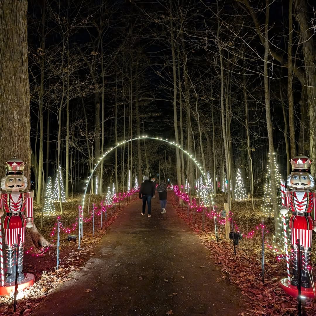 Candy Cane Tree Scavenger Hunt