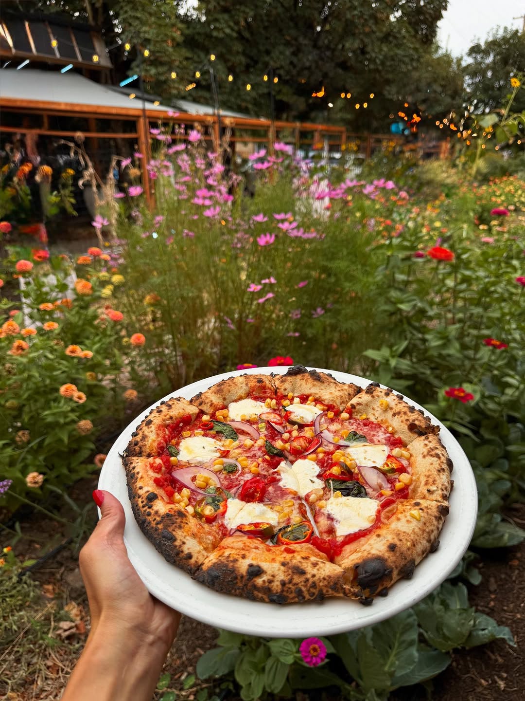 DIY Pizza Garden Party