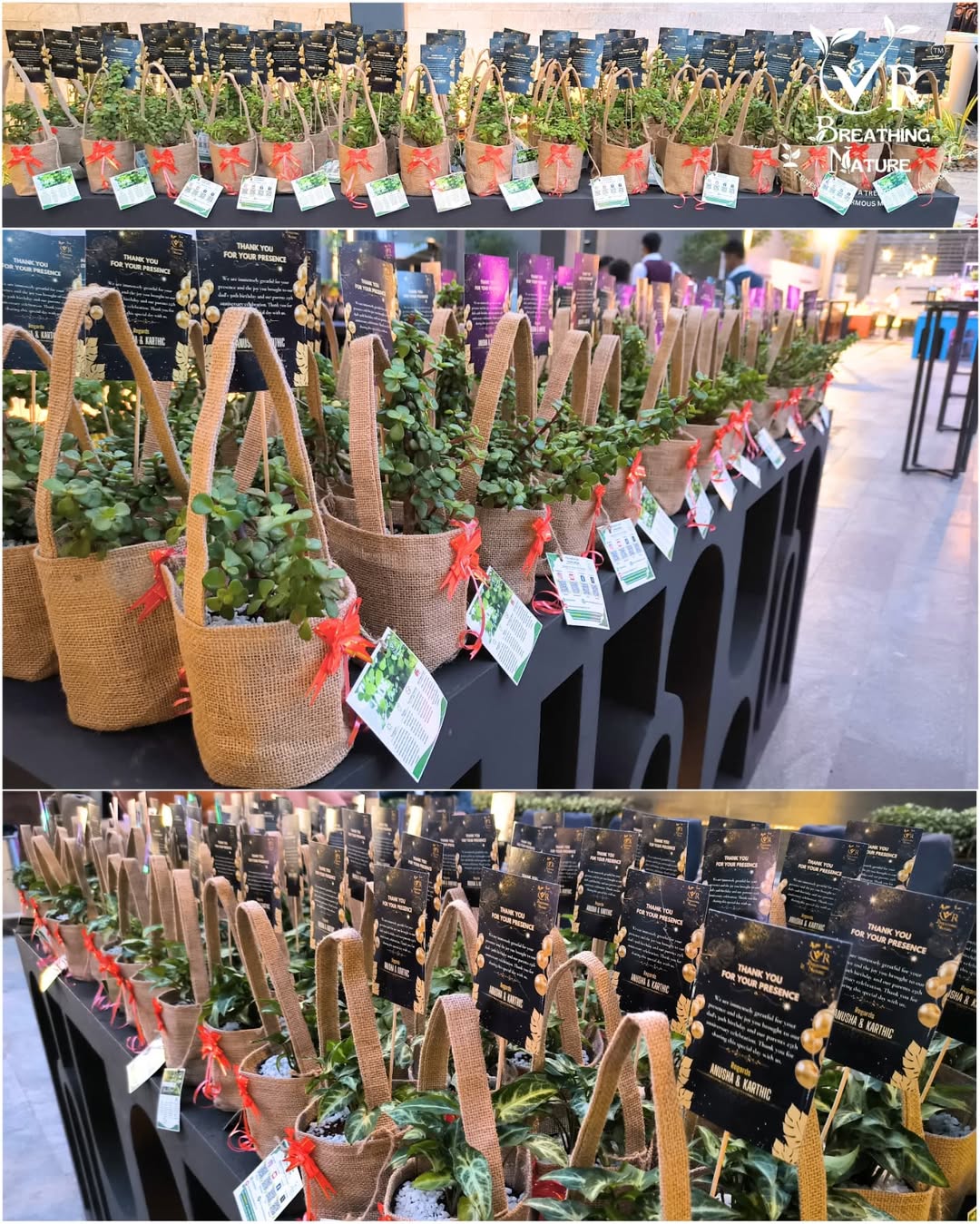 Eco-Friendly & Sustainable Gifts