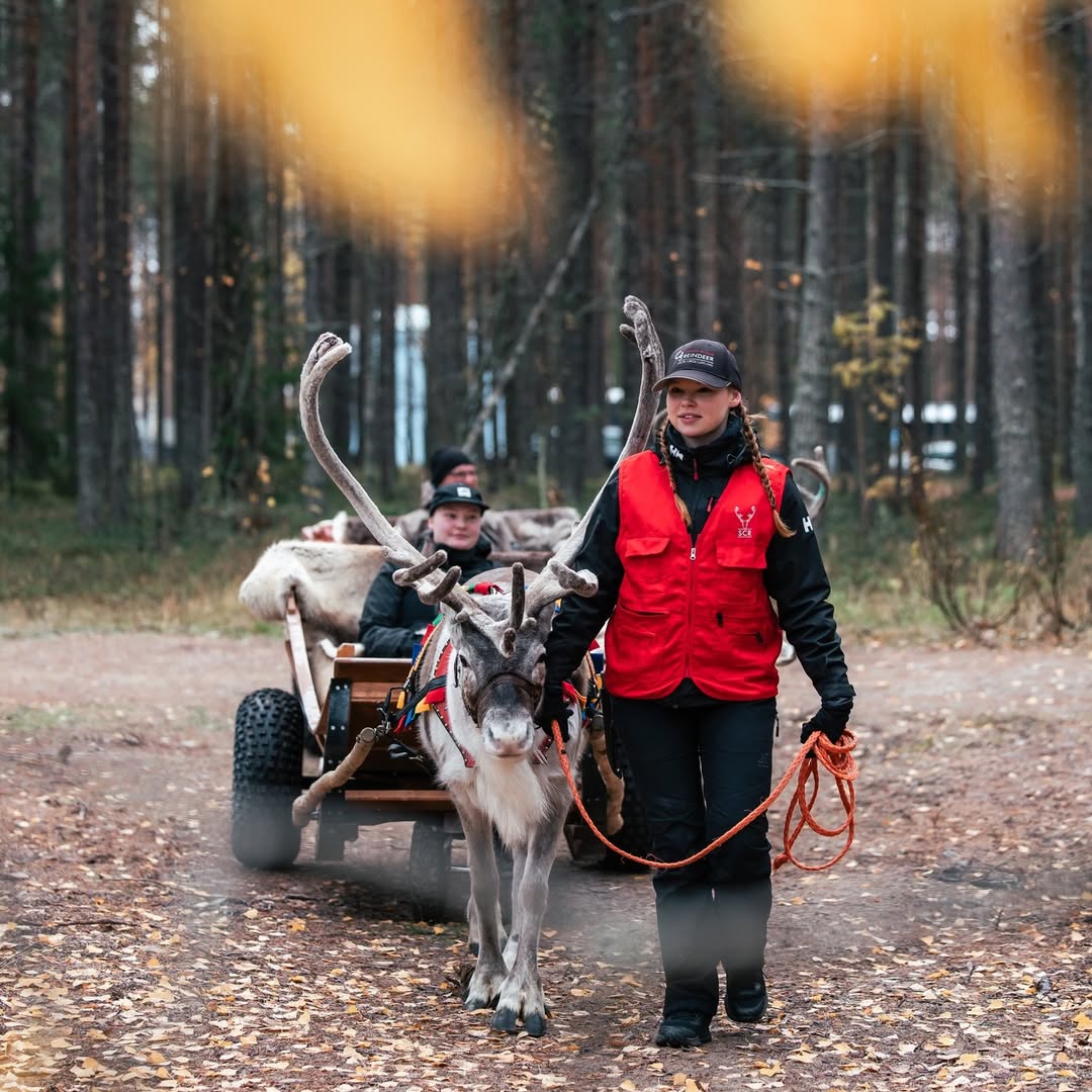 Santa Claus on His Sleig