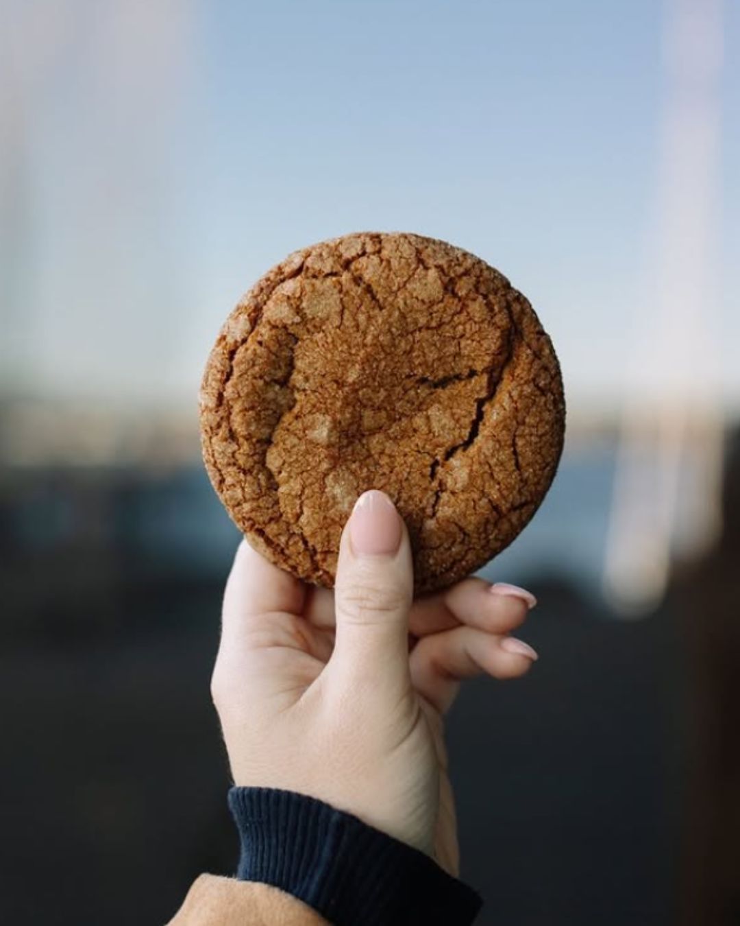 Soft Molasses Cookies