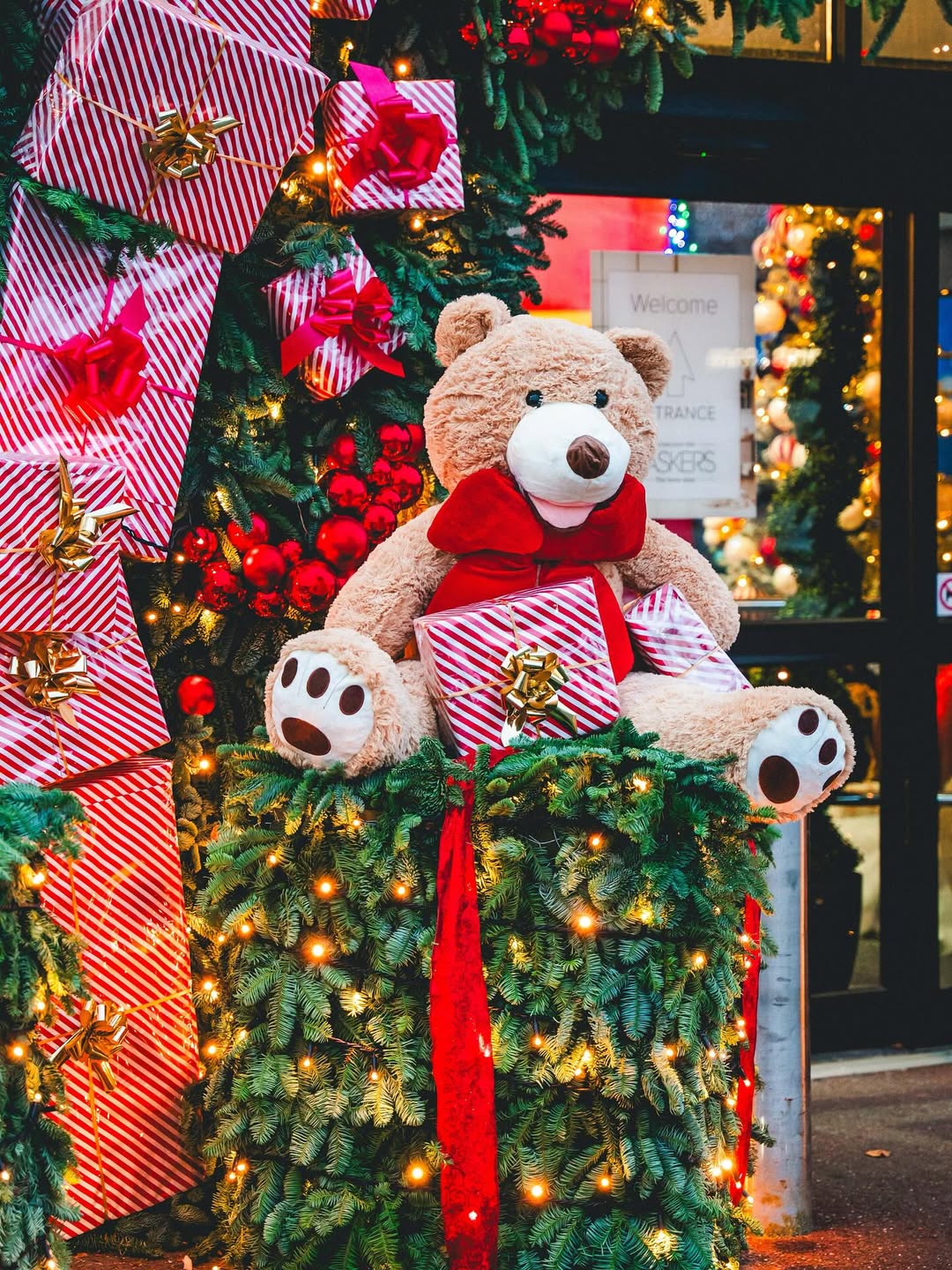 Teddy Bear Gift Search