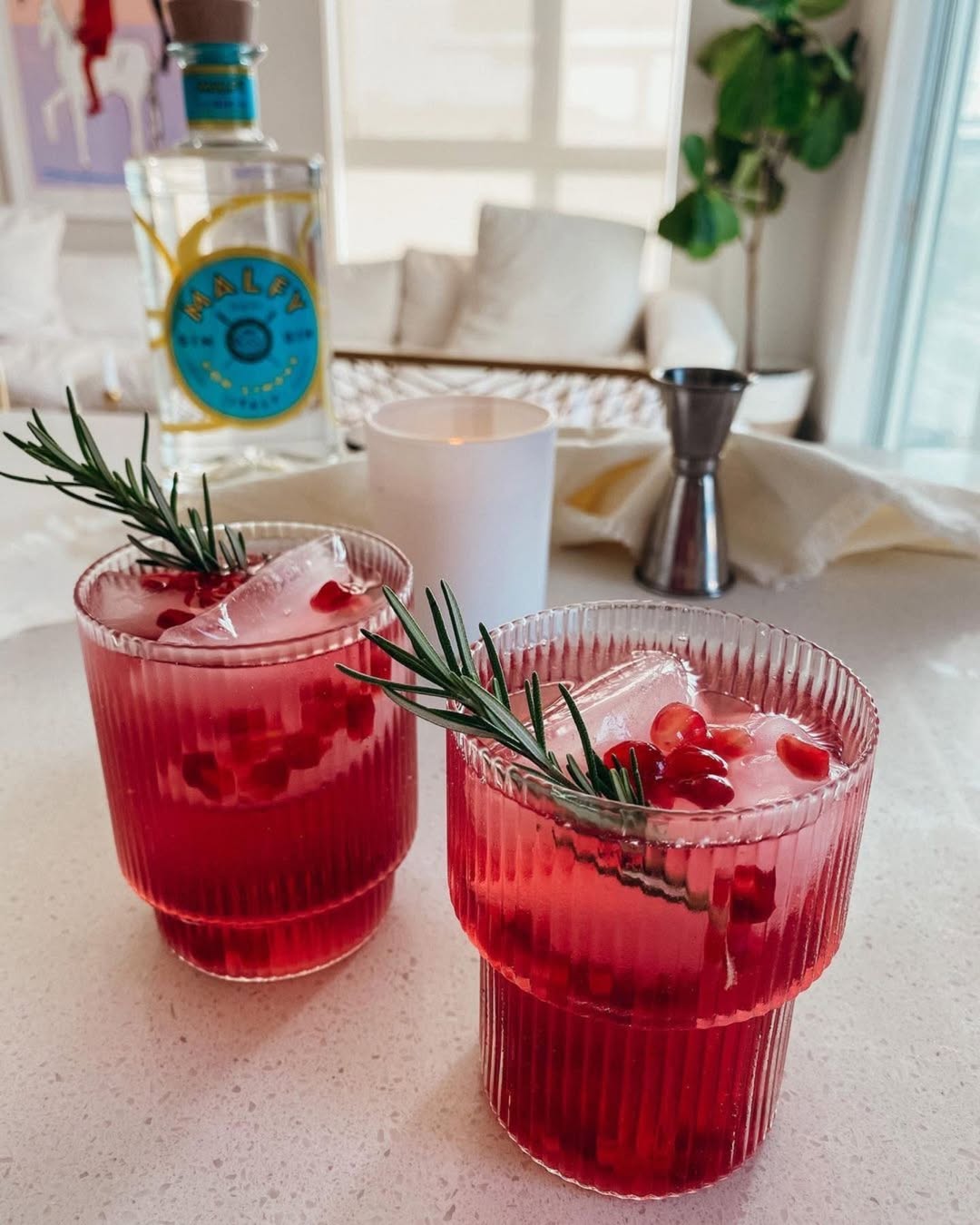Pomegranate Gin Fizz