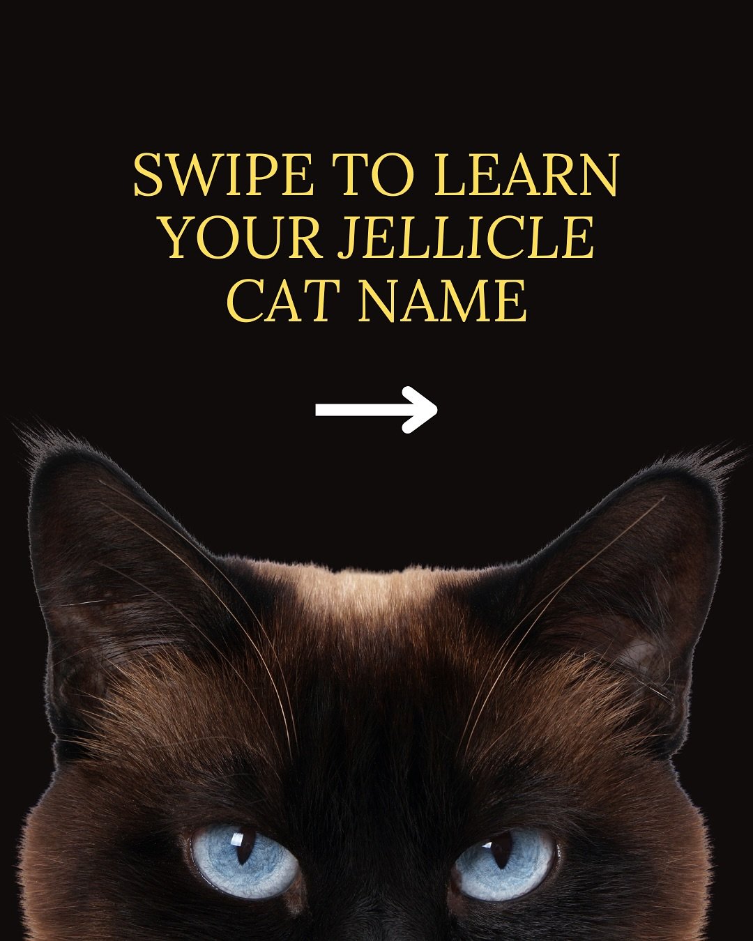 Gaming Login Name Ideas