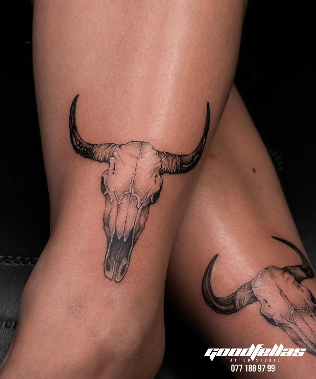 Buffalo Skull