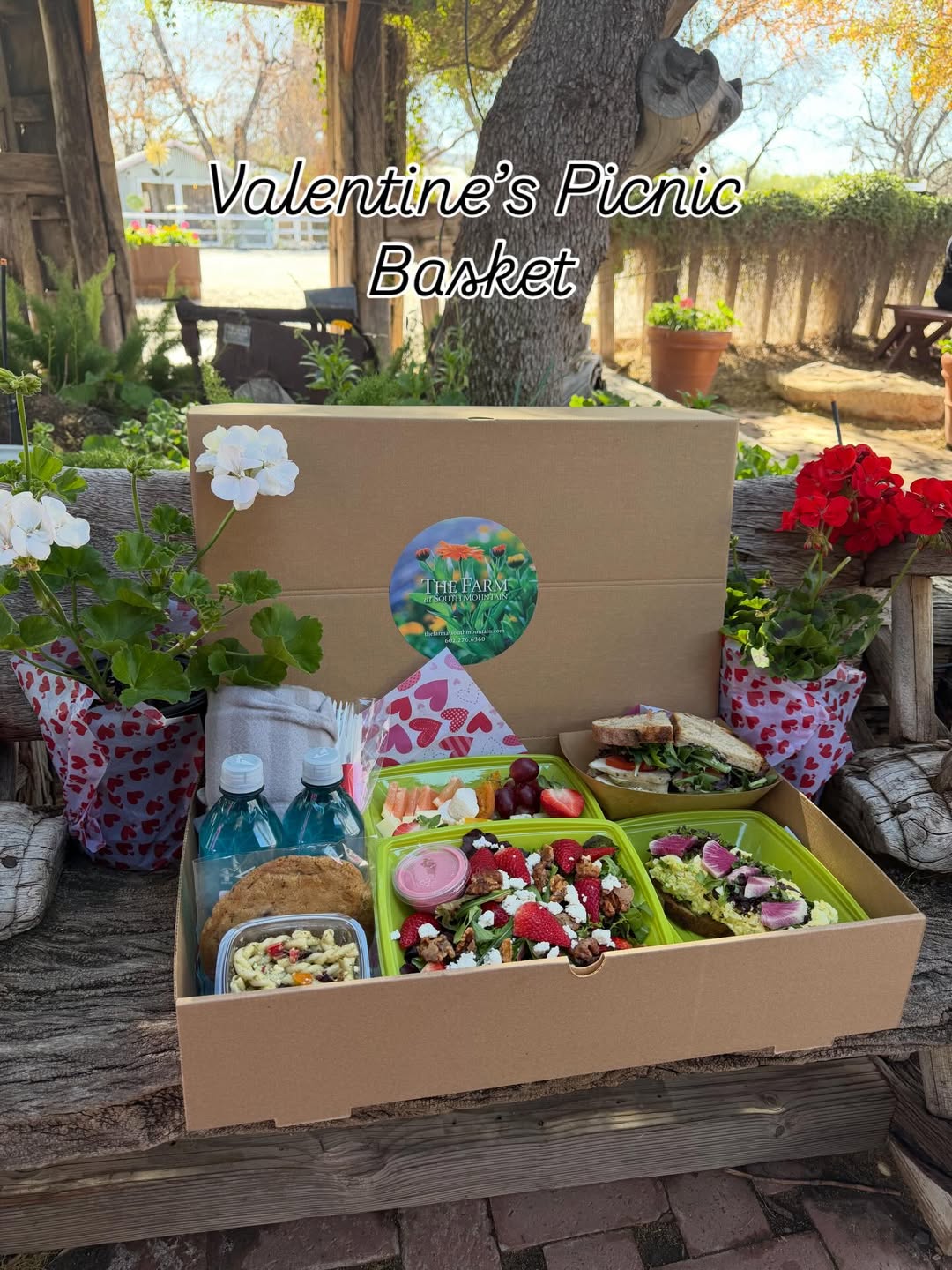 Picnic Baskets