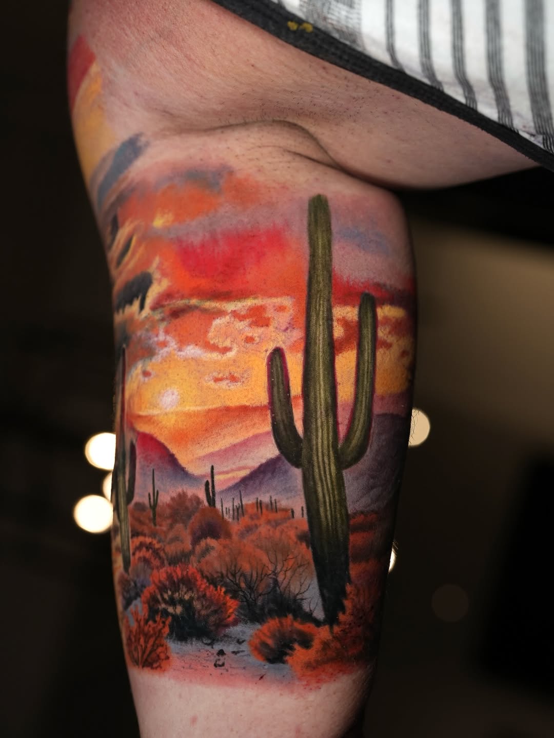 Sunset Desert Scene