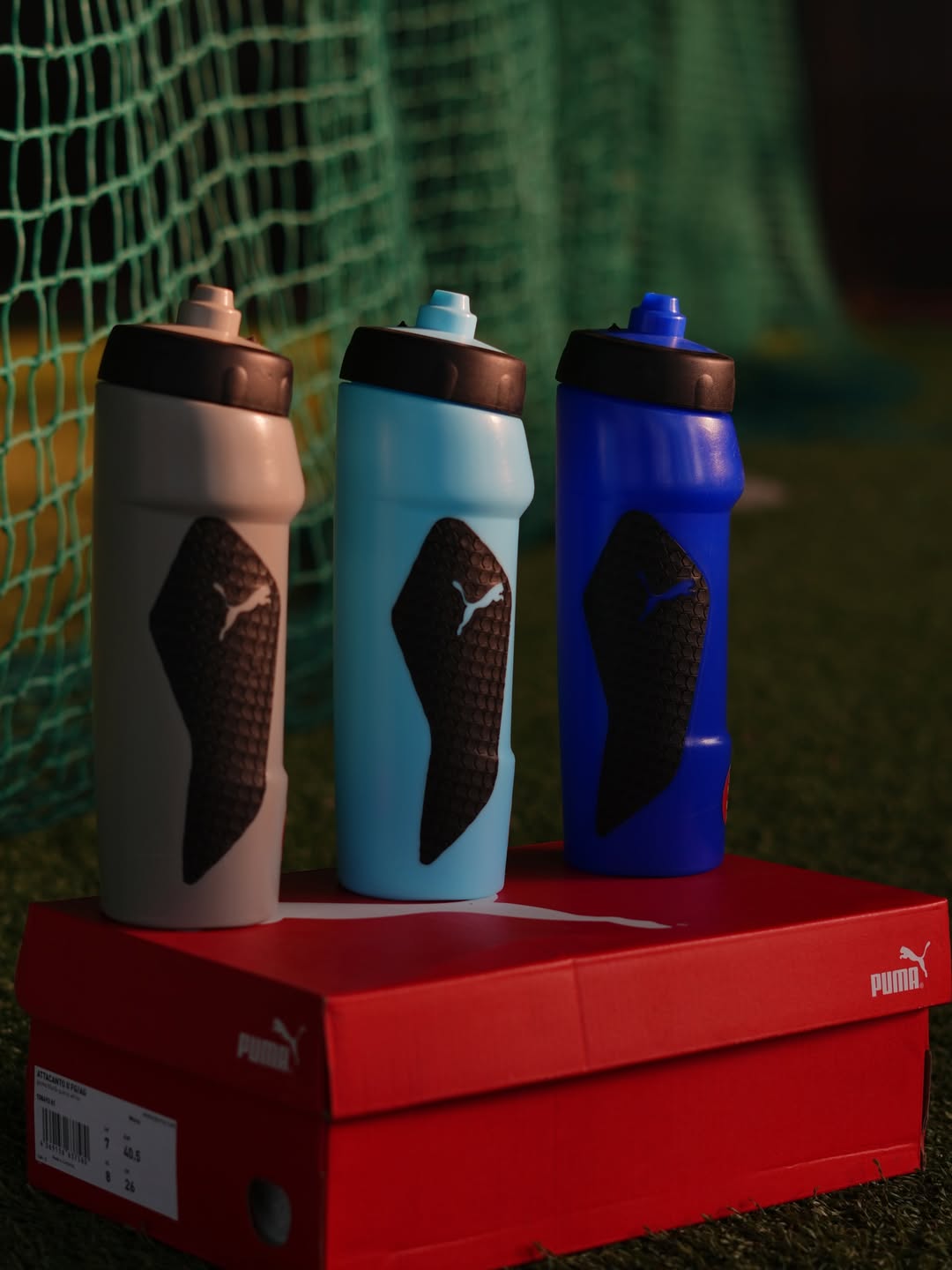 Sports Water Bottles